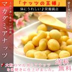 Yahoo! Yahoo!ショッピング(ヤフー ショッピング)マカダミアナッツ ナッツ 素焼き 塩味 ロースト 500g 大粒 オーストラリア産 マカデミアナッツ なっつ おつまみ つまみ お菓子