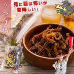 国産 海鮮 おつまみ 珍味 うつぼ揚煮 佃煮 45g×5個 ( 無添加 ) 唐揚げ ウツボ うつぼ うつぼ揚げ煮 酒のつまみ 酒の肴 干物 佃煮 ウツボの干物 敬老の日