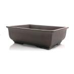  бонсай горшок 8 номер длина угол mado входить . грязь 4 день город Banko . керамика 4 угол . type большой средний сосна Kashiwa . дерево примерно 24.5 см цветочный горшок мох модный 