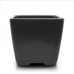  бонсай горшок 3 номер правильный угол чёрный цвет чёрный коврик . Seto . керамика 4 угол луговые и горные травы агава . корень суккулентное растение кактус Mini маленький товар маленький примерно 8.7 см цветочный горшок мох модный 