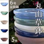 盆栽鉢 陶器 6号 丸山草鉢 おしゃれ 