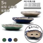  бонсай горшок 5 номер под дерево лист type керамика модный специализированный магазин зеленый синий чай три цвет 4 день город Banko .. type тарелка луговые и горные травы . дерево сосна Kashiwa маленький товар маленький примерно 18 см цветочный горшок мох 