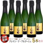 【送料無料】6本セット 【ハーフ瓶