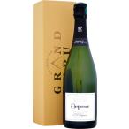 ジャン・ルイ・ヴェルニョン エロ