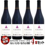 【クール送料無料】4本セット カレ