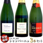 【特別価格】シャンパーニュ 飲み