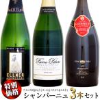 【特別価格】ウメムラお気に入りの
