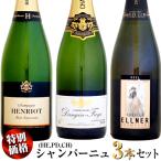 【クール配送】【家飲み応援・特別