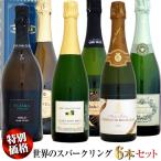 【クール配送】【特別価格】NEW 世