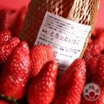 to... клубника 720ml [ север Okamoto магазин | Nara ]