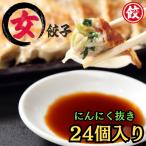 「女餃子」24個入り 野菜9割 肉1割 にんにく抜き  冷凍  静岡 人気 餃子 ギョーザ 冷凍餃子 静岡グルメ つまみ ニンニク