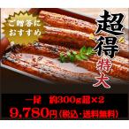 ご当地お取り寄せグルメ お集まり かば焼き スタミナ 鰻 高知県 四万十川 国産 300ｇ超え ジャンボ 四万十うなぎ2尾 ご自宅用 送料無料