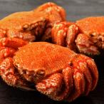  четырёхугольный волосатый краб Hokkaido производство первоклассный максимально высокий разряд Boyle завершено натуральный шерсть . примерно 550g×2 хвост .. подарок на Bon Festival подарок 