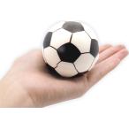 カラフルサッカーＰＵボール（６個）
