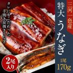 うなぎ TK-2 特大 170g×2尾 三河一色産 国産 鰻 ウナギ 手焼き 炭火焼き ギフト お歳暮 送料無料 お祝い 贈り物 冬ギフト