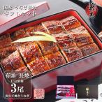 ショッピングうなぎ うなぎ ギフト 国産 三河一色産 炭火手焼き 蒲焼 156g〜185g×3尾 タレ・山椒3袋付き うなぎの兼光 のし対応可