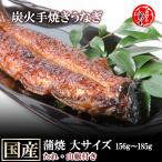 ショッピングうなぎ 父の日 うなぎ 蒲焼き 国産 一色産 炭火 手焼き 蒲焼 大サイズ 156g〜185g タレ・山椒付き うなぎの兼光 単品売り 1尾から