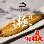 u.. белый жарение [ очень большой (180~190g)]3 хвост местного производства Mikawa один цвет производство уголь огонь рука жарение белый .tare есть ваш заказ земля для . подарок на Bon Festival подарок по случаю конца года День отца праздник подарок . покупка 