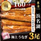 うなぎ 国産 蒲焼 極 3尾 浜名湖 鰻 父の日 母の日 お中元 贈答 のし 人気 美味しい 老舗 冷蔵 ギフト お祝い 内祝 冷蔵