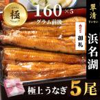 ショッピングうなぎ 国産 うなぎ 国産 蒲焼 極 5尾 浜名湖 鰻 父の日 母の日 お中元 贈答 のし 人気 美味しい 老舗  冷蔵 ギフト お祝い 内祝 冷蔵