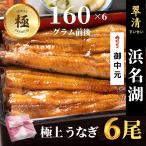 うなぎ 国産 蒲焼 極 6尾 浜名湖 鰻 父の日 母の日 お中元 贈答 のし 人気 美味しい 老舗 冷蔵 ギフト お祝い 内祝 冷蔵