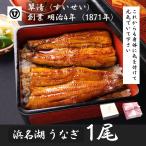 ショッピングお中元 うなぎ 国産 蒲焼 1尾 浜名湖 鰻 父の日 母の日 お中元 贈答 のし 人気 美味しい 老舗  冷蔵 ギフト お祝い 内祝 冷蔵 50代 60代 70代 80代 米寿