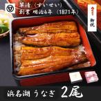 うなぎ 蒲焼 2尾 国産  鰻 ウナギ 高級 人気 美味しい 浜名湖 静岡 老舗 店舗 冷蔵 のし 朝じめ 贈答 贈り物  お歳暮 ギフト お祝い お取り寄せ 内祝 地焼き