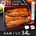 ショッピング父の日 うなぎ 国産 蒲焼 3尾 浜名湖 鰻 父の日 母の日 お中元 贈答 のし 人気 美味しい 老舗  冷蔵 ギフト お祝い 内祝 冷蔵 50代 60代 70代 80代 米寿