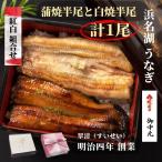 ショッピングうなぎ 鰻 うなぎ 国産 紅白 蒲焼 白焼 1尾 ウナギ 父の日 母の日 お中元 人気 美味しい 浜名湖 冷蔵 のし 熨斗 贈答 贈り物 ギフト 内祝