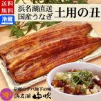 土用の丑 国産うなぎ長蒲焼き2本 ひつまぶしの素詰め合わせ 送料無料