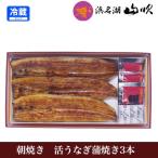 ウナギ 特撰うなぎ蒲焼 大3尾 朝焼きプレミアムギフト 国産鰻 浜名湖山吹 海鮮 食品 食べ物 内祝い お礼 誕生日 プレゼント お祝い