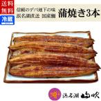 内祝い 御礼 国産ウナギ長蒲焼3本詰め合わせギフト 浜名湖山吹
