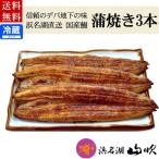 ショッピングうなぎ 蒲焼き 国内産 送料無料 内祝い 御礼 国産ウナギ長蒲焼3本詰め合わせギフト 浜名湖山吹