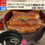 国産うなぎ蒲焼き3人前 お吸い物付き  送料無料