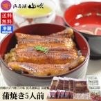 合格祝い 国産うなぎ蒲焼き 肝吸い 家族団らん5人前セット 送料無料