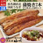 ショッピングうなぎ 蒲焼き 国内産 送料無料 国産うなぎ長蒲焼き2本 ひつまぶしの素詰め合わせ 送料無料