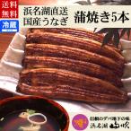 国産 うなぎ長蒲焼5人前 肝吸い付き 詰め合わせ ウナギ浜名湖山吹 送料無料