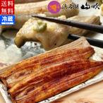 ショッピングうなぎ 国産 うなぎ 国産うなぎの蒲焼き・白焼き詰め合わせ 浜名湖山吹 送料無料