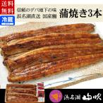 うなぎ 国産ふっくら柔らかうなぎ長蒲焼き3尾ギフトセット 送料無料