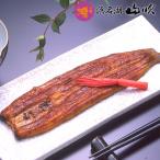 うなぎ 蒲焼き 国産鰻 ふっくらウナギ真空長蒲焼き 115g 大サイズ 1尾