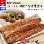 ショッピングうなぎ 蒲焼き 国内産 送料無料 国産うなぎ長蒲焼き2人前とうな茶漬けの素ギフト詰め合わせ 送料無料