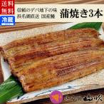 ショッピングうなぎ 蒲焼き 国内産 送料無料 うなぎ蒲焼き ギフト 国産うなぎ 浜名湖山吹のふっくらうなぎ長蒲焼き3本 送料無料