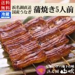うなぎ 国産うなぎ蒲焼き 5串 浜名湖山吹 送料無料 海鮮ギフト内祝い お祝い 誕生日プレゼント