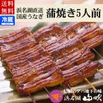 ショッピングうなぎ 蒲焼き 国内産 送料無料 国産うなぎ串蒲焼5串 浜名湖山吹 送料無料