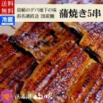 ショッピングうなぎ 蒲焼き 国内産 送料無料 内祝い お祝い 国産うなぎ ウナギ串蒲焼5串ギフトセット 送料無料