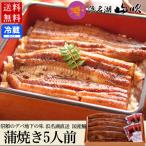 内祝い お祝い お返し 国産 うなぎ蒲焼 大 5尾ギフト 浜名湖山吹ウナギ詰め合わせ 送料無料 海鮮 鰻 食品 食べ物 お礼 誕生日 プレゼント