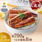 うなぎ 鰻 ウナギ 国産 国内産 九州産 うなぎ蒲焼 鰻蒲焼 蒲焼き 蒲焼 長焼 5尾 140g×5尾 (5~10人前) お取り寄せグルメ プチ贅沢 グルメ 人気 お歳暮