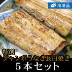 冷凍鰻白焼「ジャンボ」5本セット