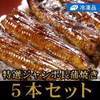 冷凍特選うなぎ長蒲焼ジャンボ５本