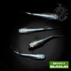 メダカ「プラチナブルー」３ペア